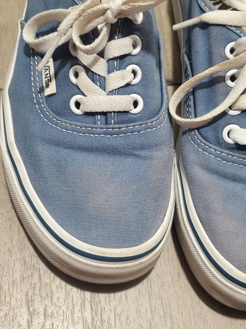 Vans Authentic Low Top Sneakers in Light Blue